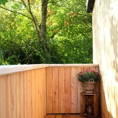 Racoon - Aussergewoehnliches Tinyhauserlebnis Beim Reptilienzoo Reptilium