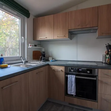 Racoon - Aussergewoehnliches Tinyhauserlebnis Beim Reptilienzoo Reptilium *