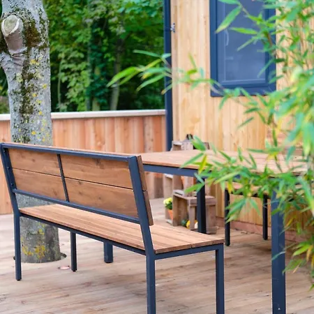 Racoon - Aussergewoehnliches Tinyhauserlebnis Beim Reptilienzoo Reptilium *