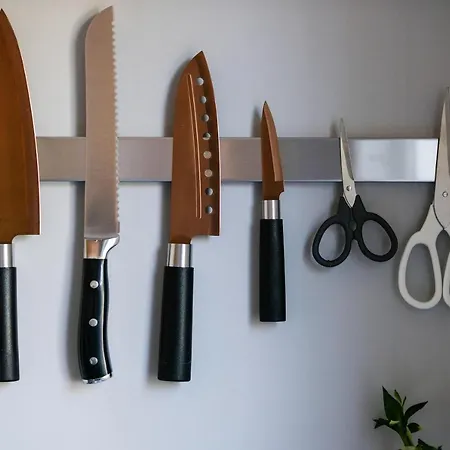 Racoon - Aussergewoehnliches Tinyhauserlebnis Beim Reptilienzoo Reptilium * Landau in der Pfalz