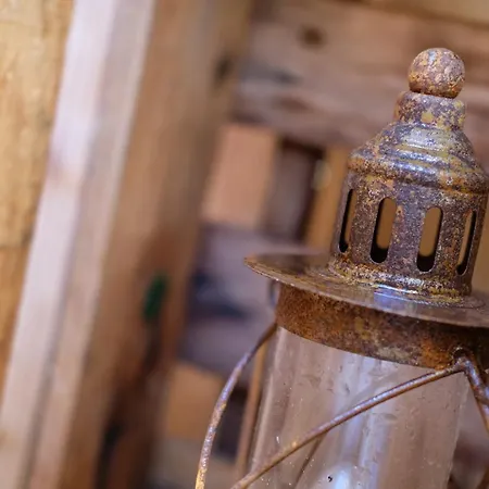 Racoon - Aussergewoehnliches Tinyhauserlebnis Beim Reptilienzoo Reptilium *