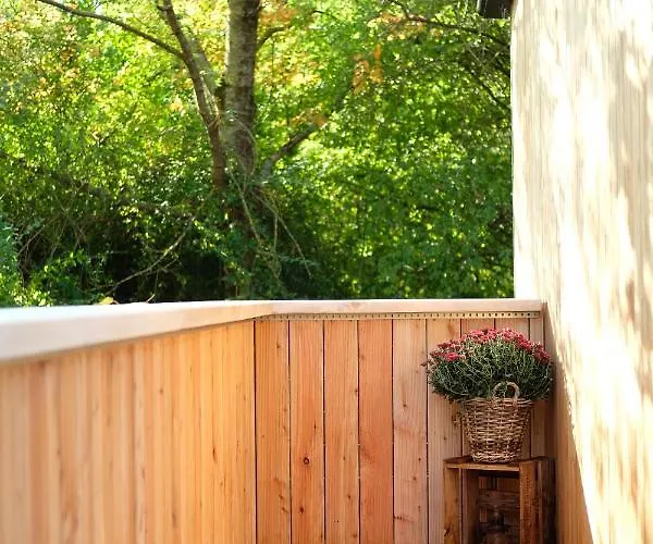 Racoon - Aussergewoehnliches Tinyhauserlebnis Beim Reptilienzoo Reptilium