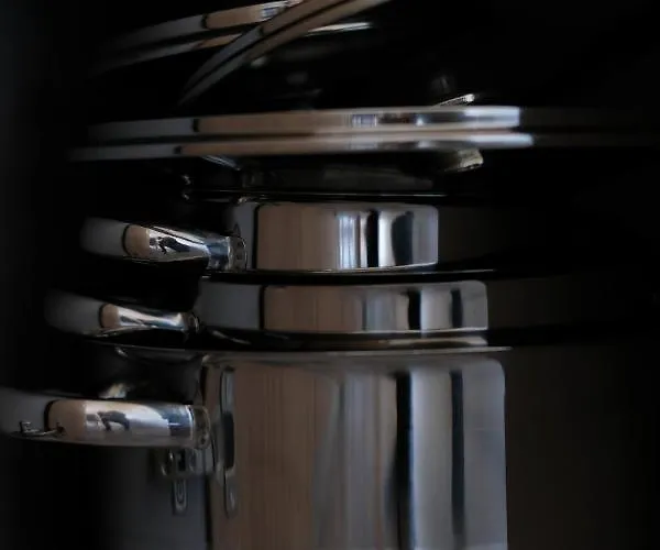 Racoon - Aussergewoehnliches Tinyhauserlebnis Beim Reptilienzoo Reptilium *