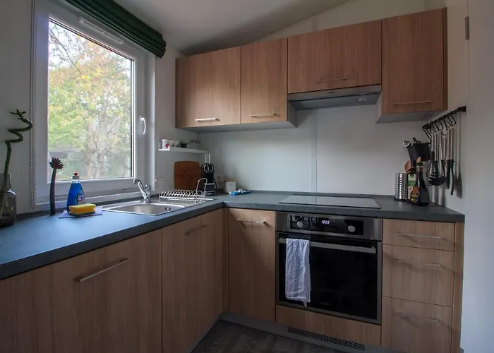 Racoon - Aussergewoehnliches Tinyhauserlebnis Beim Reptilienzoo Reptilium *