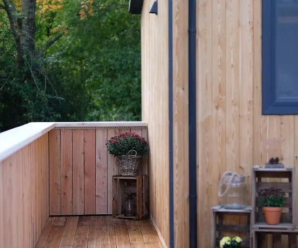 Racoon - Aussergewoehnliches Tinyhauserlebnis Beim Reptilienzoo Reptilium