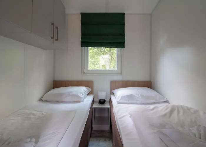 Racoon - Aussergewoehnliches Tinyhauserlebnis Beim Reptilienzoo Reptilium *