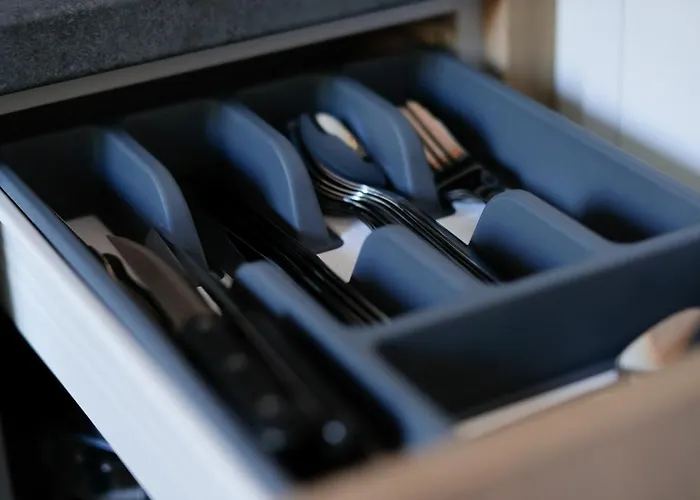 Racoon - Aussergewoehnliches Tinyhauserlebnis Beim Reptilienzoo Reptilium