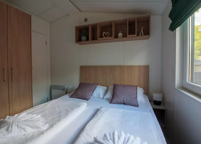 Racoon - Aussergewoehnliches Tinyhauserlebnis Beim Reptilienzoo Reptilium 朗道因德普法尔茨