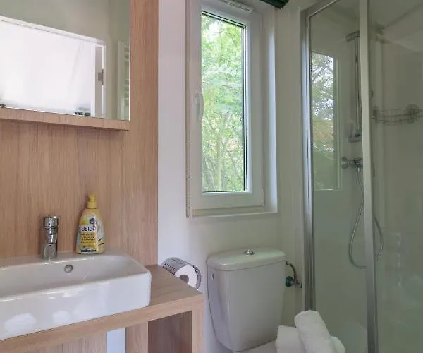 Racoon - Aussergewoehnliches Tinyhauserlebnis Beim Reptilienzoo Reptilium * 朗道因德普法尔茨