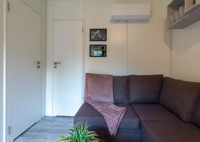 Racoon - Aussergewoehnliches Tinyhauserlebnis Beim Reptilienzoo Reptilium 朗道因德普法尔茨