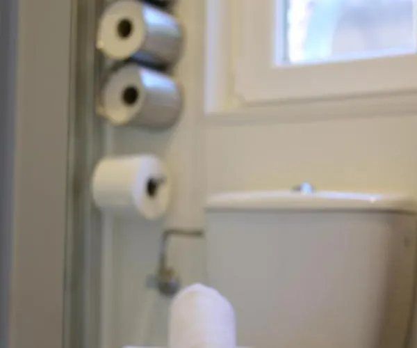 Racoon - Aussergewoehnliches Tinyhauserlebnis Beim Reptilienzoo Reptilium 朗道因德普法尔茨