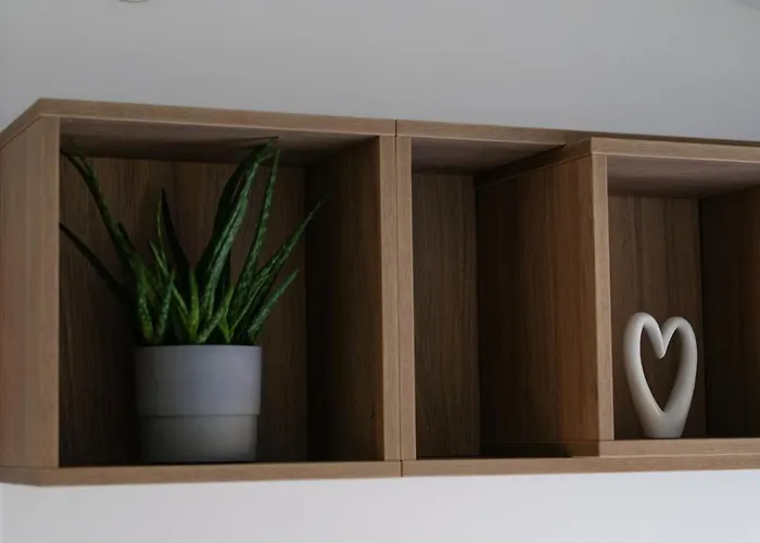 Racoon - Aussergewoehnliches Tinyhauserlebnis Beim Reptilienzoo Reptilium