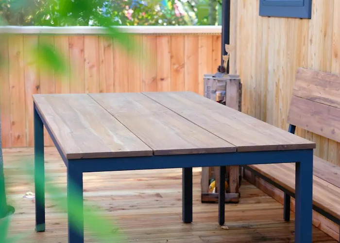 Racoon - Aussergewoehnliches Tinyhauserlebnis Beim Reptilienzoo Reptilium *