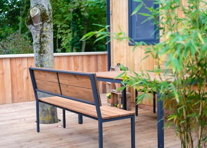 Racoon - Aussergewoehnliches Tinyhauserlebnis Beim Reptilienzoo Reptilium *