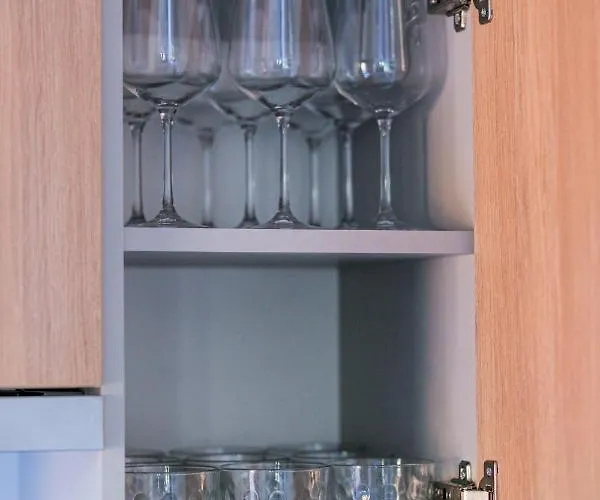 Racoon - Aussergewoehnliches Tinyhauserlebnis Beim Reptilienzoo Reptilium