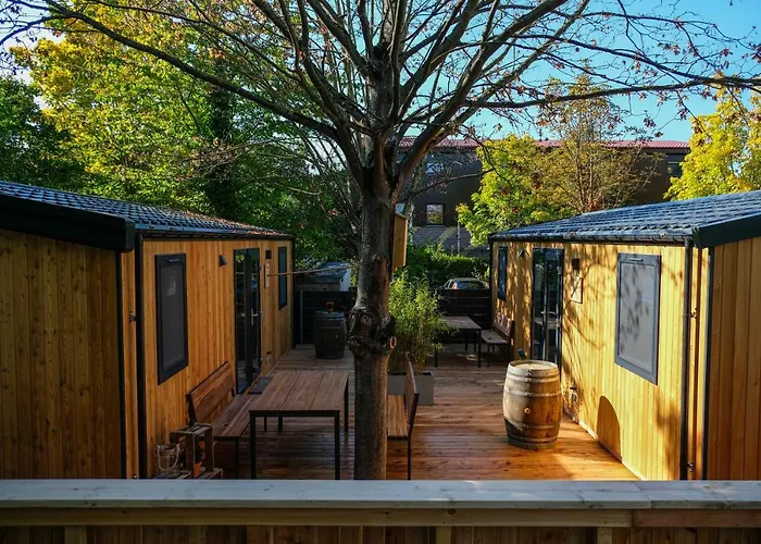 Racoon - Aussergewoehnliches Tinyhauserlebnis Beim Reptilienzoo Reptilium *