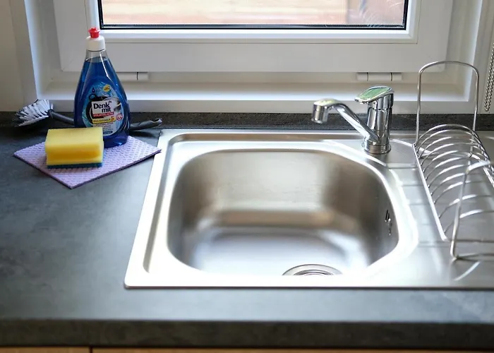 Racoon - Aussergewoehnliches Tinyhauserlebnis Beim Reptilienzoo Reptilium * 朗道因德普法尔茨