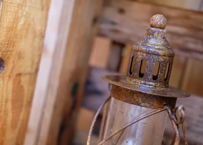 Racoon - Aussergewoehnliches Tinyhauserlebnis Beim Reptilienzoo Reptilium *